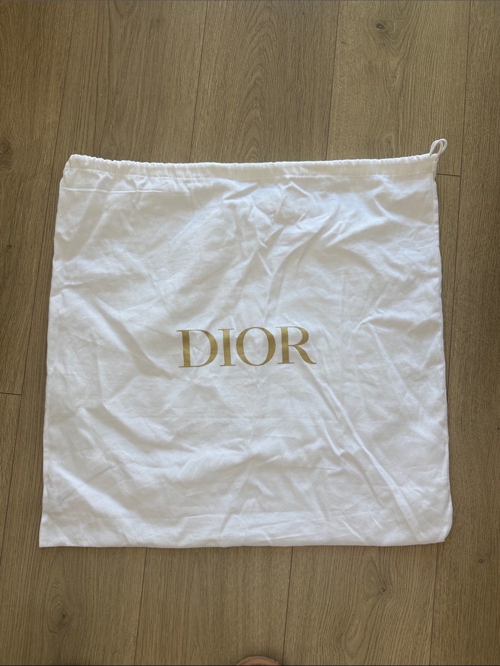 DIOR duster bag 21x21